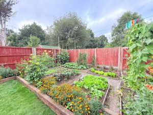 Photo 11- click for photo gallery